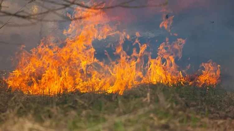 В шести областях Украины объявили чрезвычайный уровень пожарной опасности