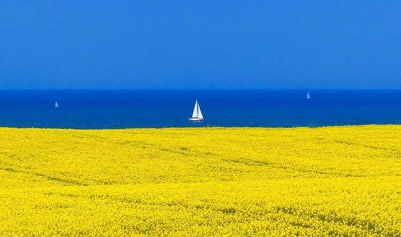 Погода этим летом: что ждет украинцев