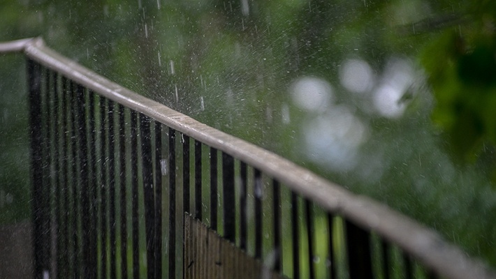 Дожди, грозы и прохлада: озвучен прогноз погоды на первый день лета