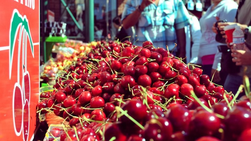 Цены на черешню: сколько на рынках стоит ягода