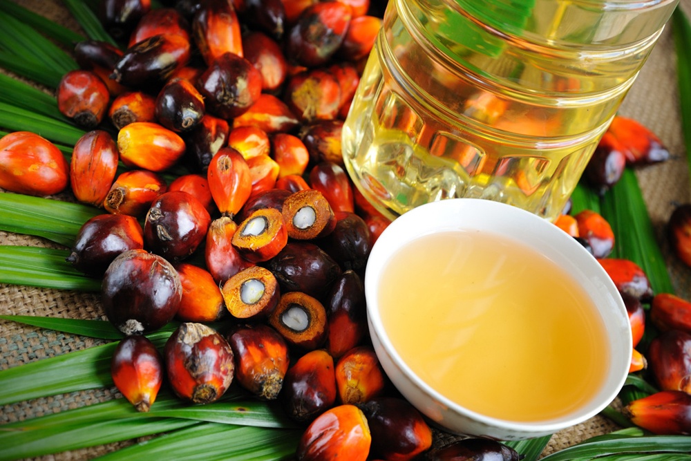 Пальмовое масло: как определить, содержит ли продукт этот опасный ингредиент