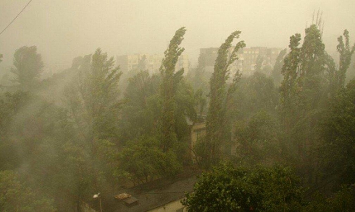 Жара в Украине: синоптик предупредила о возможных пылевых бурях