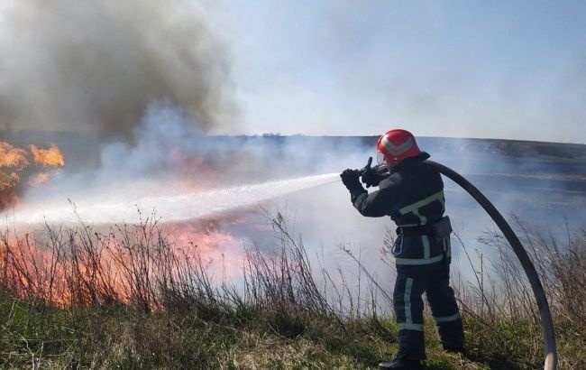 Синоптики объявили в Украине чрезвычайный уровень пожарной опасности