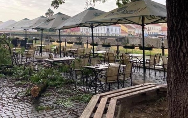 В Ужгороде массивная ветка дерева упала на посетителей кафе