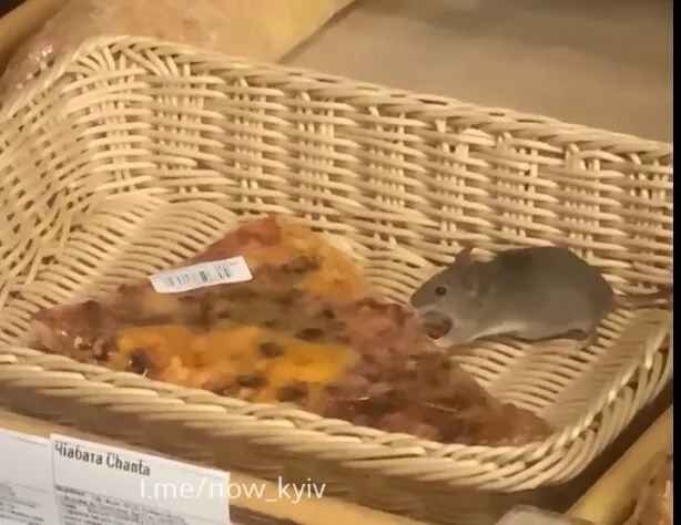 В Киеве посетители магазина заметили мышь среди хлебобулочных изделий
