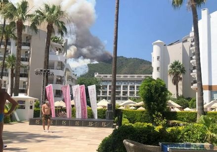 В Турции горит лес на популярном курорте