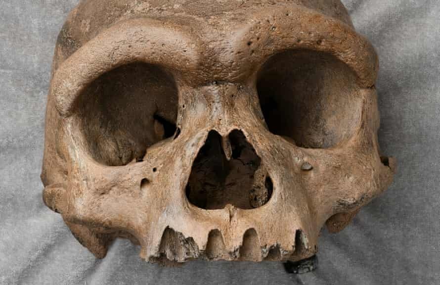 Найден череп, который заставил ученых пересмотреть историю эволюции человека