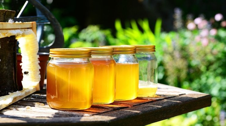 Как отличить натуральный мед от подделки: необычные способы