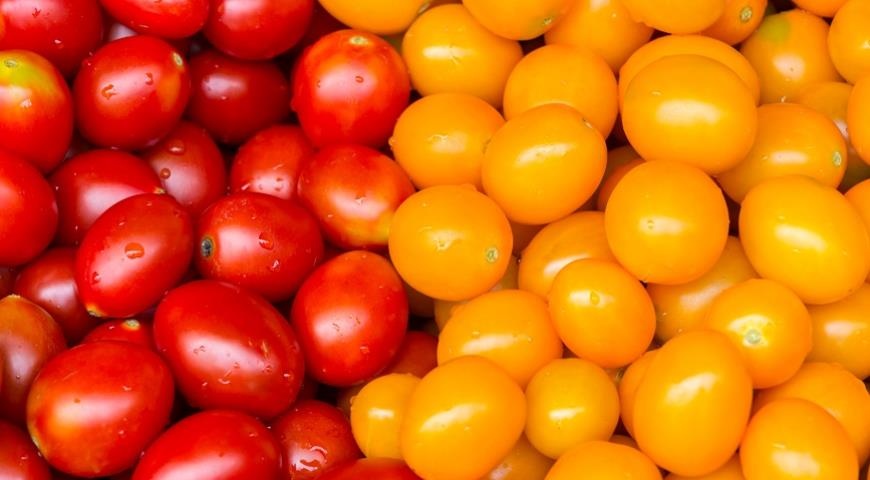 Какие помидоры полезнее: желтые или красные