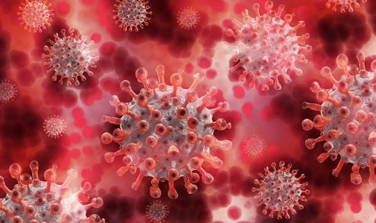В организме человека обнаружили "место хранения" коронавируса