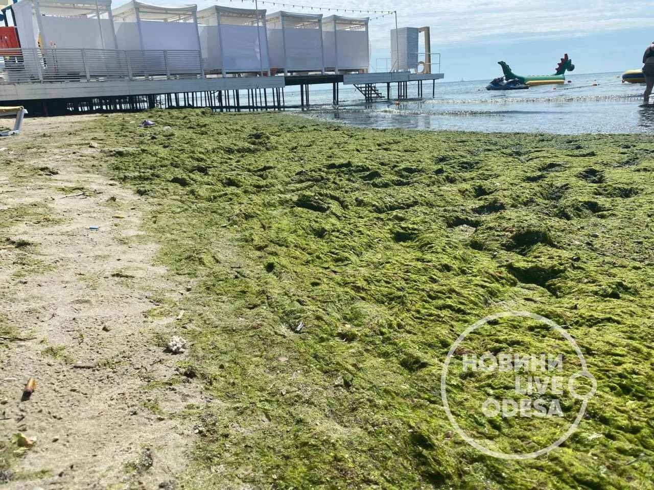 Пляжи Одессы превратились в болото: купаться почти невозможно