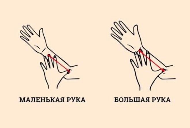 Размер руки может рассказать кое-что о характере человека
