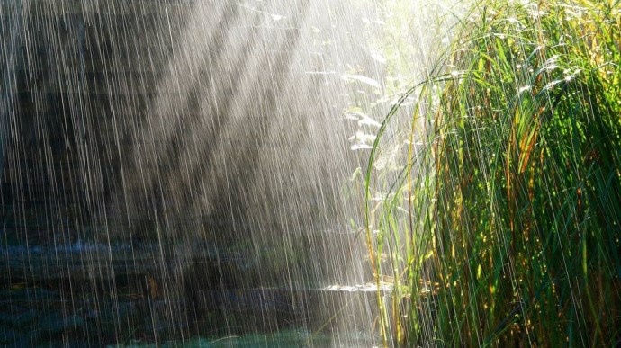 Жара и ливни: прогноз погоды в Украине на неделю