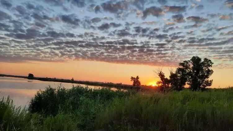 Жара с грозами: прогноз погоды в Украине на сегодня