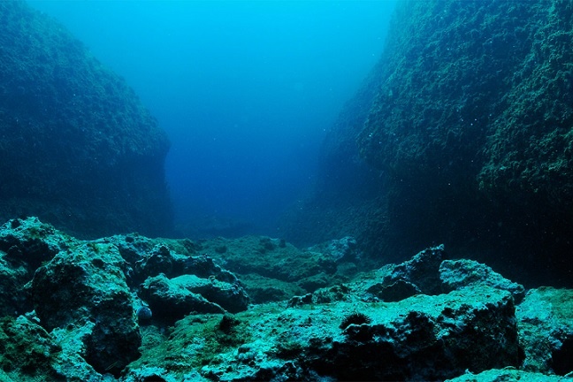 На дне Атлантического океана нашли загадочные геоглифы