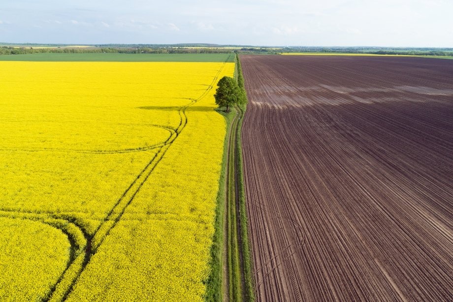В Украине земли сельскохозяйственного назначения с каждым годом будут дорожать