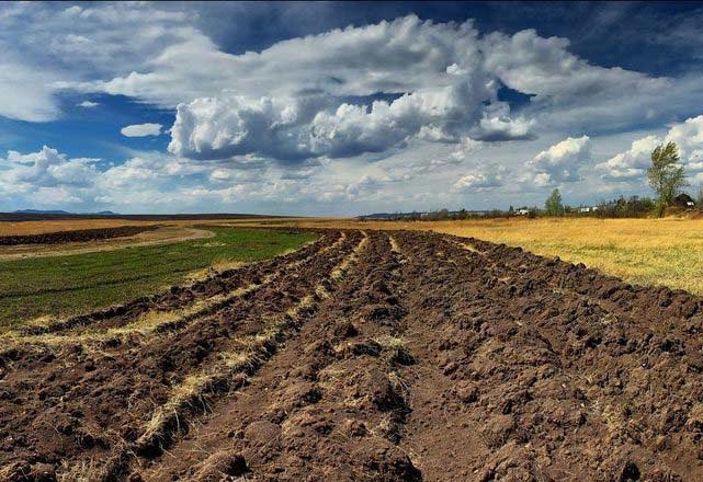 Эксперт анонсировал массовое снижение цен на землю в Украине