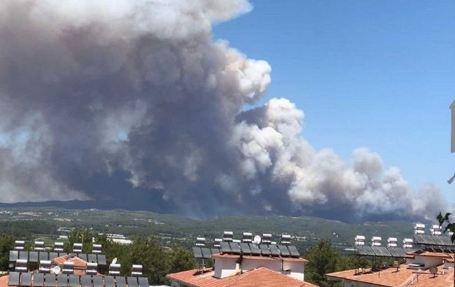 Лесные пожары в Турции: есть ли среди пострадавших украинские туристы