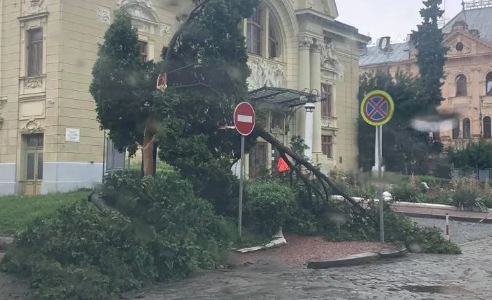 Черновцы потрепал мощный ураган: как город справляется с последствиями