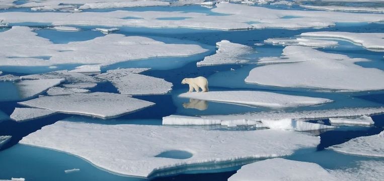 Изменение погоды в Арктике грозит всей Земле, - ученые