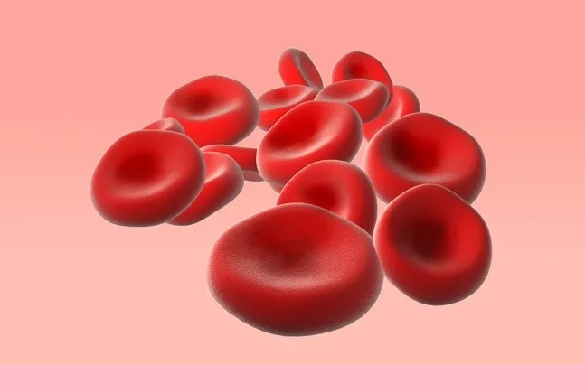 Какие заболевания чаще всего грозят обладателям разных групп крови
