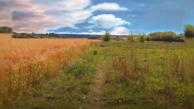 Синоптики анонсировали дожди во второй половине августа