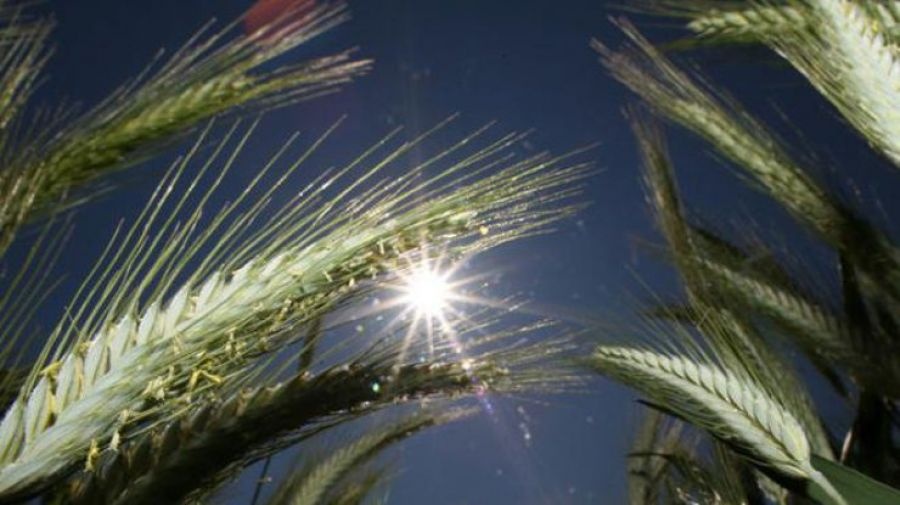 Циклон Elfi усилит свои позиции над некоторыми регионами Украины