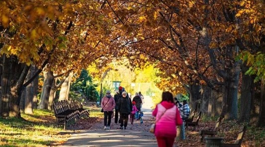 Первые заморозки придут в Украину уже в октябре – народный синоптик