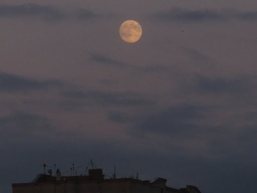 Луна в перигее 17 августа: каким знакам зодиака повезет чуть больше, чем остальным