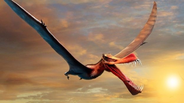 Ученые обнаружили в Австралии останки гигантского летающего динозавра