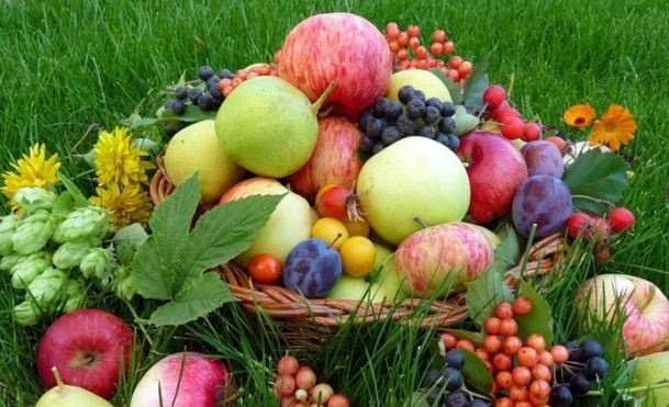 Яблочный Спас подарит возможности: достоверный гороскоп для всех Зодиаков