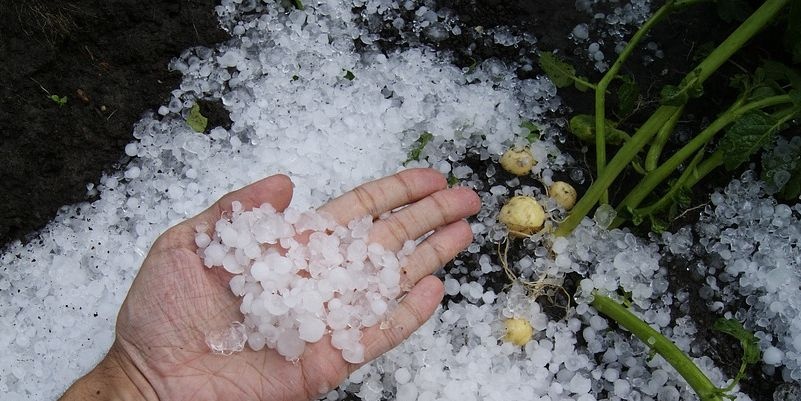 В Украине сильно испортится погода: погода 20 августа