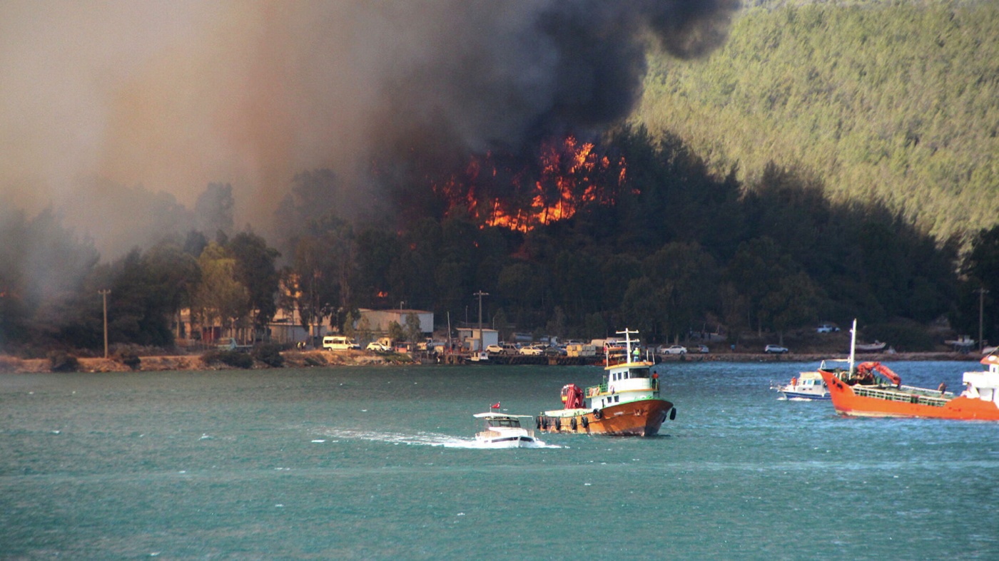 Масштабные лесные пожары: уже четыре страны охвачены смертоносным огнем