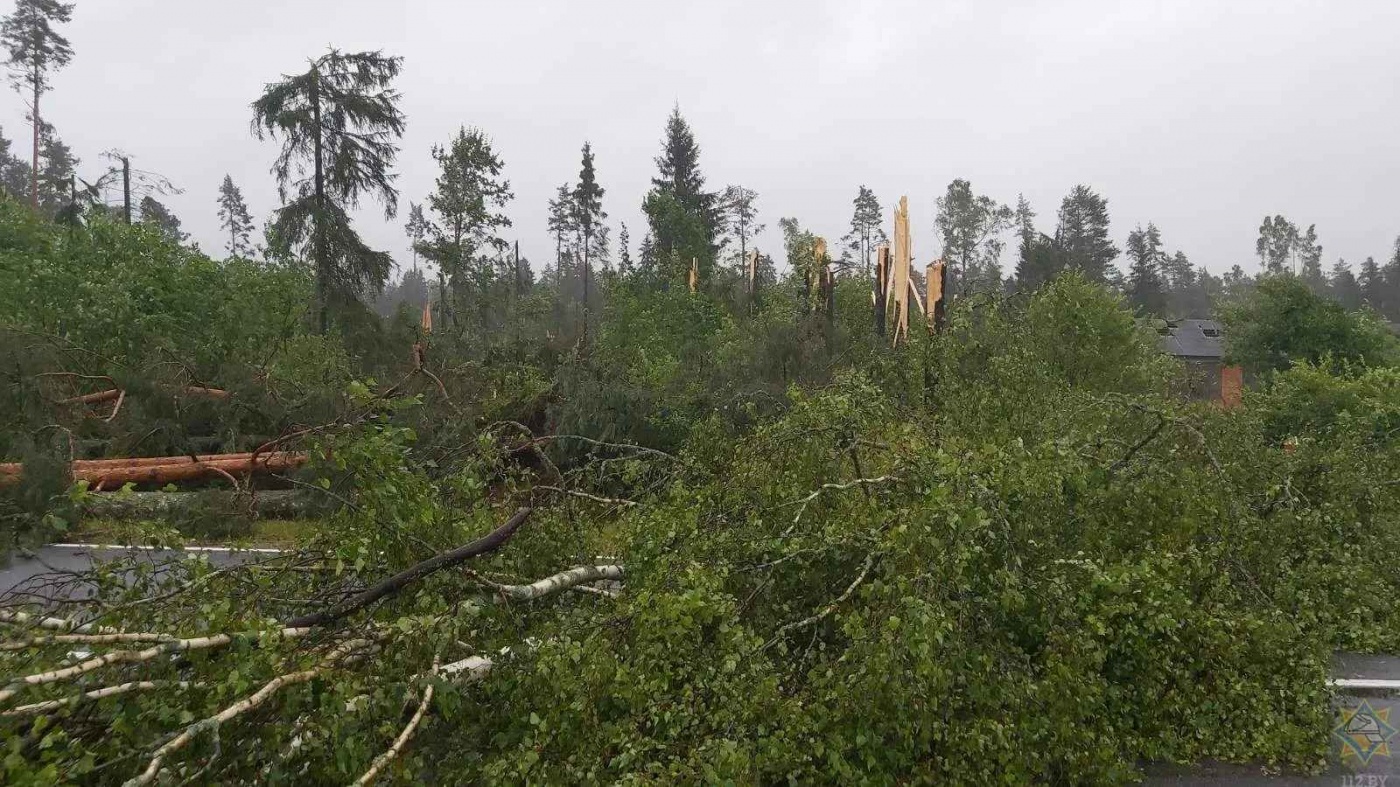Деревья ломало, как спички: ураган в Беларуси за несколько секунд уничтожил часть леса