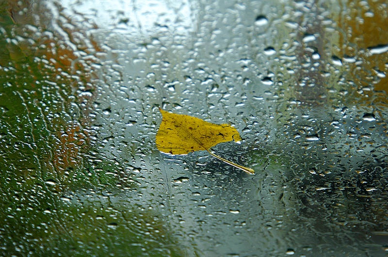 Синоптик рассказала, когда в Украине утихнут дожди