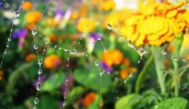 Синоптики назвали дату резкого похолодания в сентябре