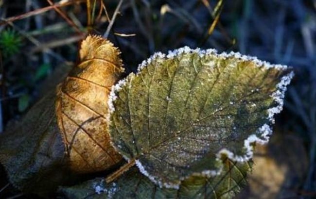 Украинцев предупредили о первых заморозках: синоптики назвали дату