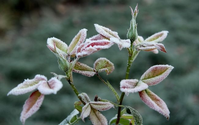 В Украине ожидается резкое похолодание: в каких регионах будут заморозки