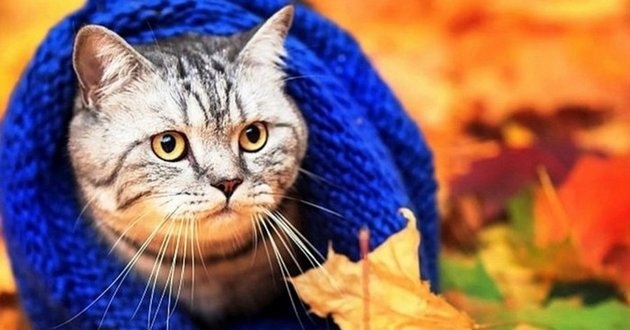 Синоптики уже знают, когда закончится бабье лето и начнется дождливая осень