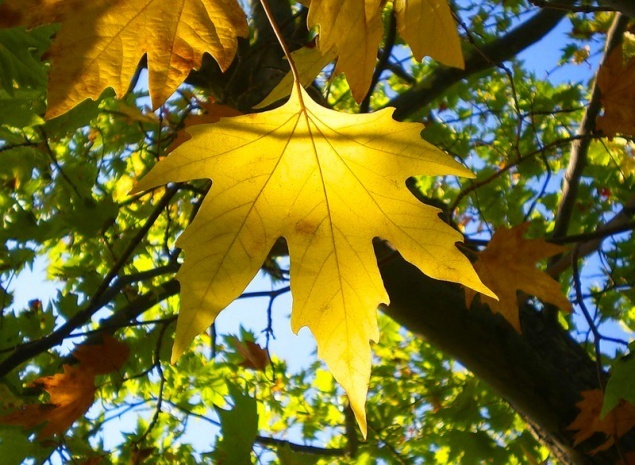 Погода на выходных: синоптики уточнили прогноз