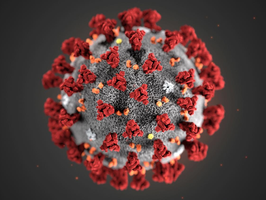 В Китае обнаружили новый очаг заражения коронавирусом