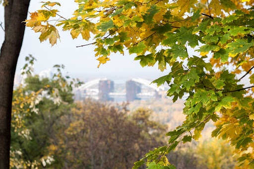 Погода на неделю: когда в Киеве похолодает и пойдут дожди