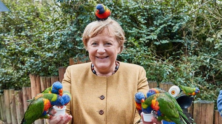 Ангелу Меркель покусали попугаи