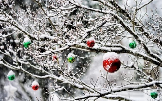 Какими будут Новый год и зима: синоптики дали прогноз