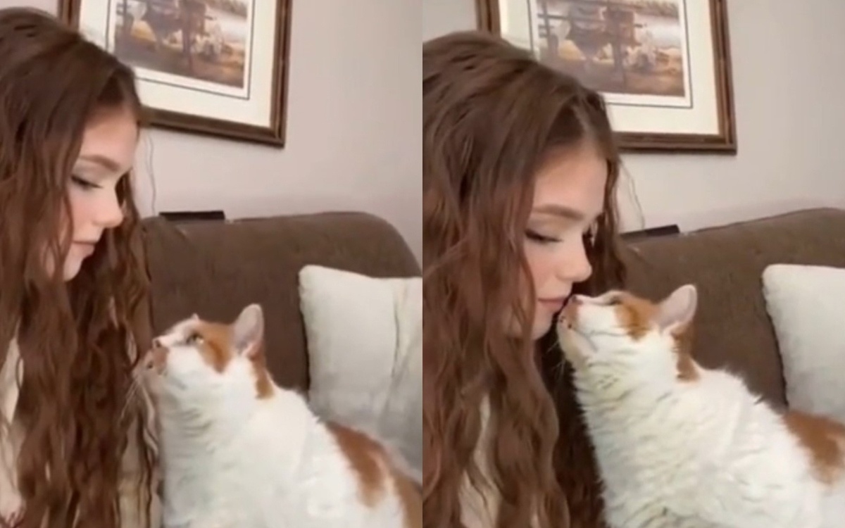 Кот, нежно поцеловавший хозяйку, вызвал умиление в Сети