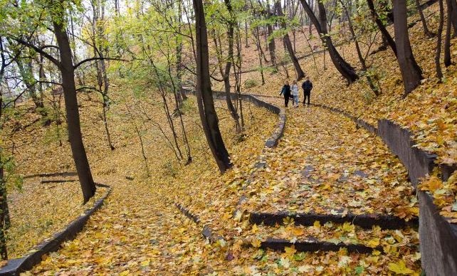 Пасмурно и холодно: прогноз погоды на начало октября