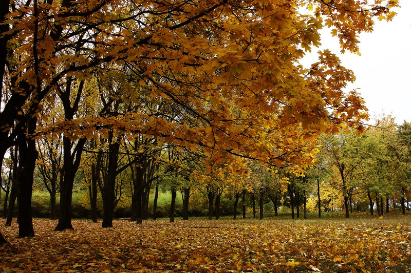 Солнечная погода продолжается: прогноз на сегодня