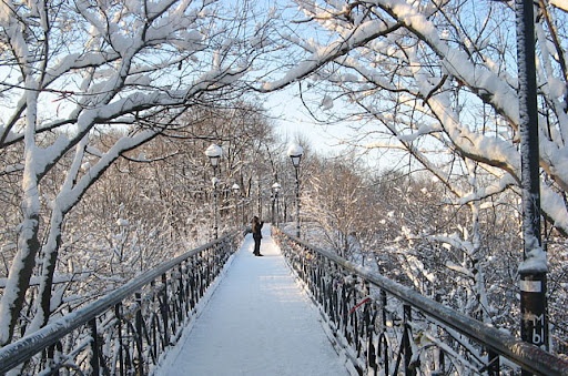 Синоптик предупредила украинцев о снежной и морозной зиме