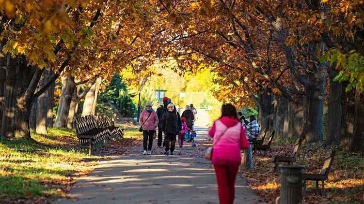 Харьков и Херсон с 10 октября могут отправить в "красную" зону