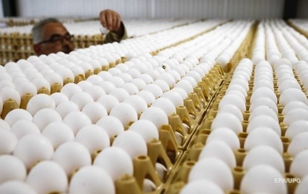 Впервые за годы независимости Украина импортировала яйца из Беларуси